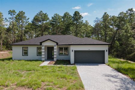 New construction Single-Family house 3691 W Norwick Pl, Dunnellon, FL 34433 - image