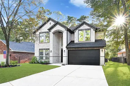 New construction Single-Family house 13919 Fountainview Dr, Montgomery, TX 77356 - image