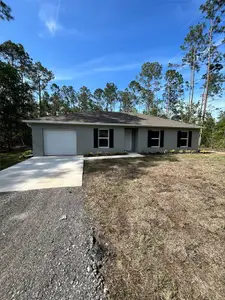 New construction Single-Family house 4200 Wanda St, Hastings, FL 32145 plan Palm - image