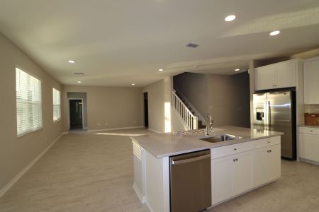 New construction Single-Family house 3063 King Fern Dr, Wimauma, FL 33598 Dali- photo 150 150