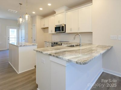 New construction Townhouse house 1307 Cerium Wy, Charlotte, NC 28211 null- photo 8 8