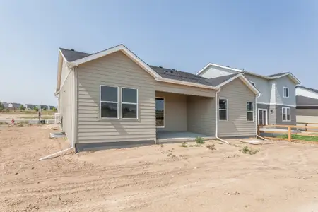 New construction Single-Family house 734 Trumpet Ct, Windsor, CO 80550 plan Morrison - image 3