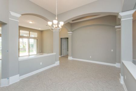 New construction Single-Family house 872 Lake Hayes Rd, Oviedo, FL 32765 null- photo 14 14