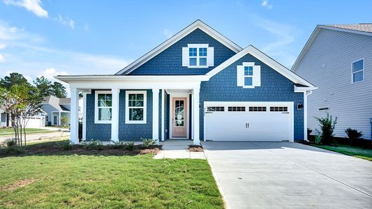 New construction Single-Family house 3192 Butterfly Ginger St, Leland, NC 28451 plan Darby - image