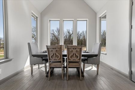 New construction Single-Family house 131 Spring Valley Rnch, Paradise, TX 76073 plan The Aylin - image 16