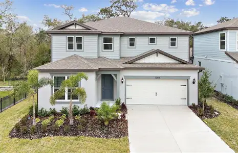 New construction Single-Family house 12614 Glenn Creek Dr, Riverview, FL 33569 Imperial- photo 0 0