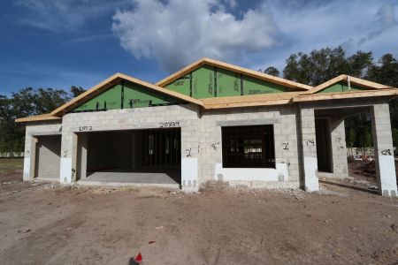 New construction Single-Family house 20339 Oriana Loop, Land O' Lakes, FL 34638 Newport II- photo 23 23