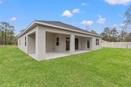 New construction Single-Family house 15171 Pomp Pkwy, Weeki Wachee, FL 34614 null- photo 35 35