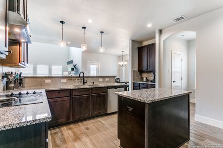 New construction Single-Family house 4614 Winter Cherry, San Antonio, TX 78245 - image 4