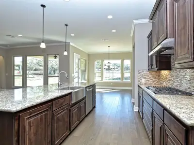 New construction Single-Family house 209 Bold Sundown, Liberty Hill, TX 78642 plan Catalina - image 16