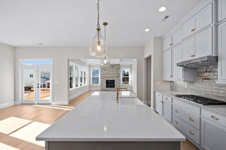 New construction Single-Family house 1041 Sage Pine Cir, Clover, SC 29710 plan Bethpage - image 7