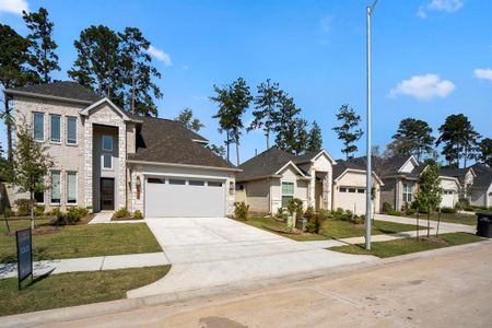 New construction Single-Family house 40422 Gerygone Lane, Magnolia, TX 77354 Beckenham- photo 0