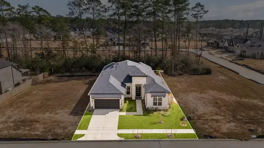 New construction Single-Family house 306 Eastern Towhee Ct, Magnolia, TX 77354 plan Leon - image