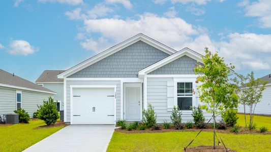 New construction Single-Family house 780 Striped Bass Ct, Santee, SC 29142 SULLIVAN- photo 0 0