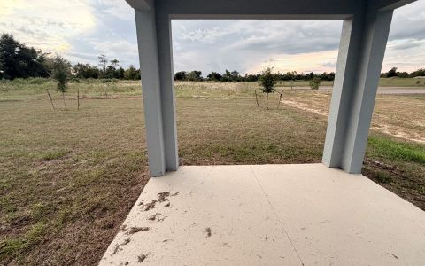 New construction Single-Family house 6837 Spotted Eagle Lp, Howey-in-the-Hills, FL 34737 plan Sims - image 2