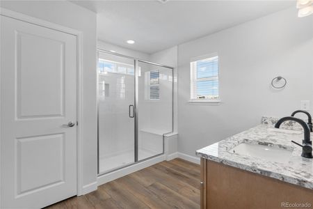 New construction Single-Family house 1949 Spencer Ave, Castle Rock, CO 80104 - image 4