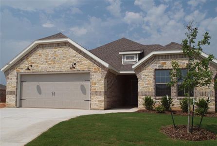 New construction Single-Family house 701 Raylan St, Springtown, TX 76082 - image