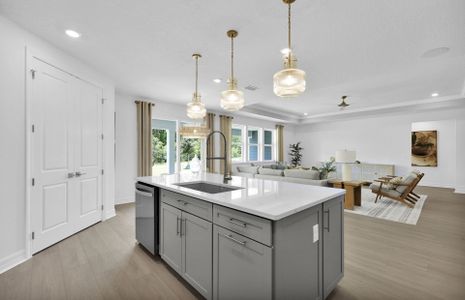 New construction Single-Family house 3372 Americana Dr, Green Cove Springs, FL 32043 null- photo 48 48