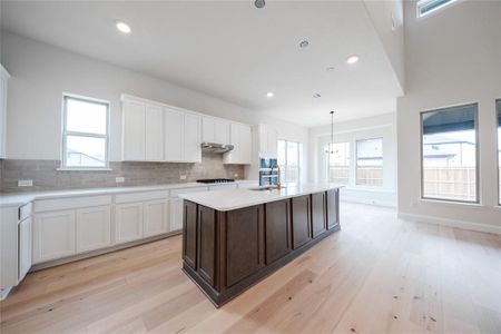 New construction Single-Family house 2005 Valencia Dr, Little Elm, TX 75068 Summerfield- photo 8 8