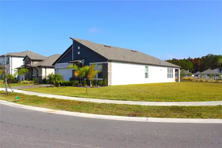 New construction Single-Family house 18331 Serene Lake Lp, Lutz, FL 33548 - image