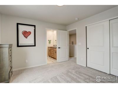 New construction Single-Family house 5276 Blainville St, Timnath, CO 80547 null- photo 18 18