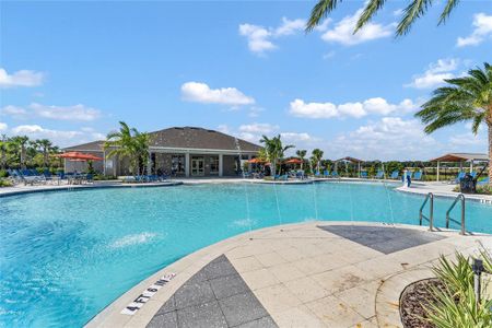 Fountain View by D.R. Horton in Ormond Beach - photo 13 13