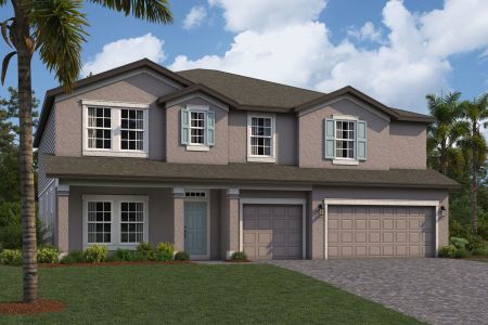 New construction Single-Family house 31173 Hayman Lp, Wesley Chapel, FL 33545 plan Windsor - image