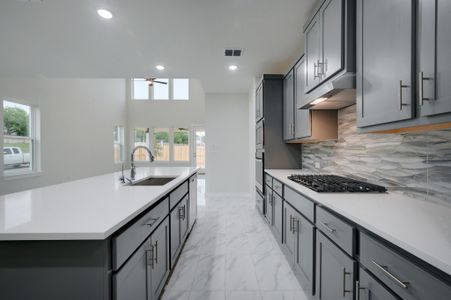 New construction Single-Family house 109 Villoria Cv, Liberty Hill, TX 78642 plan Travis - image 6