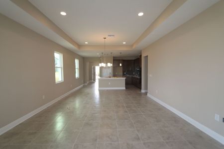 New construction Single-Family house 38357 Palomino Dr, Dade City, FL 33525 Picasso Bonus- photo 22 22