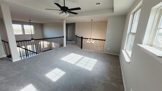 New construction Single-Family house 6831 Hayes Rd, Midlothian, TX 76065 null- photo 29 29