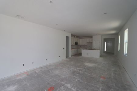 New construction Single-Family house 9492 Crescent Ray Dr, Wesley Chapel, FL 33545 Picasso- photo 27 27