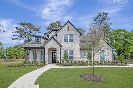 New construction Single-Family house 21918 Hibiscus Hedge Trl, Tomball, TX 77377 plan Salado - Premier Collection - image