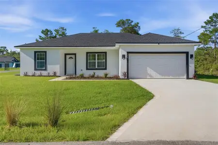 New construction Single-Family house 14 Fisher Pl, Ocklawaha, FL 32179 - image