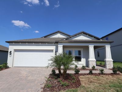 New construction Single-Family house 12250 Stirrup Dr, Dade City, FL 33525 plan Picasso - image