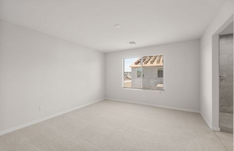 New construction Single-Family house 16505 W Whispering Wind Dr, Surprise, AZ 85387 plan Silverton - image 15