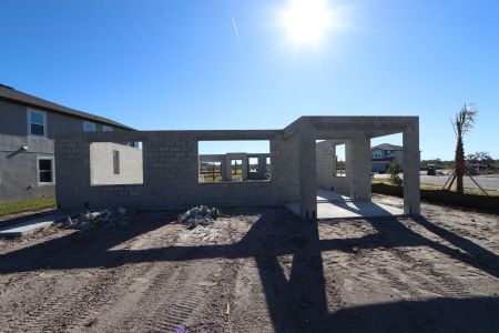 New construction Single-Family house 31205 Denham Ridge Ln, Wesley Chapel, FL 33545 Santa Monica- photo 11 11