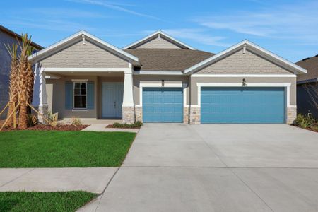 New construction Single-Family house 17429 Valleywood Pkwy, Land O' Lakes, FL 34638 plan Boca - image