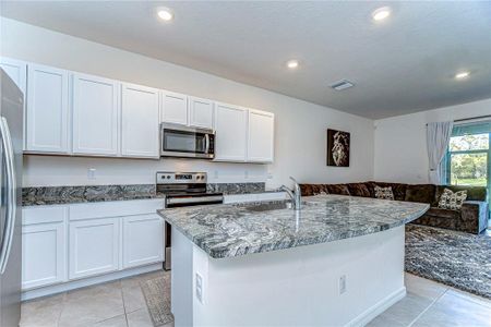 New construction Townhouse house 1291 Colt Creek Pl, Wesley Chapel, FL 33543 null- photo 37 37