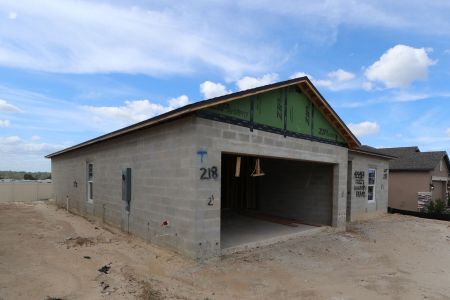 New construction Single-Family house 12227 Hilltop Farms Dr, Dade City, FL 33525 Sentinel- photo 57 57