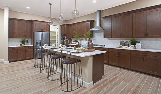 West Park Estates by Richmond American Homes in Queen Creek - photo 27 27