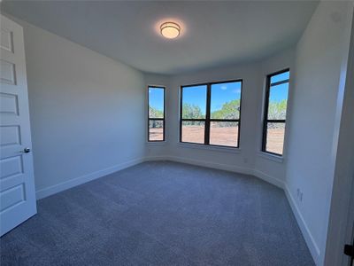 New construction Single-Family house 619 Wonderstruck, Liberty Hill, TX 78642 Coronado I- photo 19 19