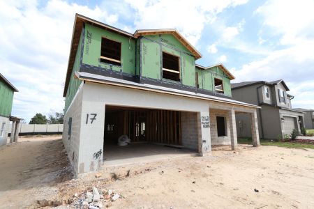 New construction Single-Family house 12168 Hilltop Farms Dr, Dade City, FL 33525 Malibu- photo 32 32