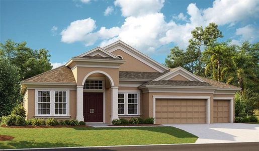 New construction Single-Family house 5129 Everlong Dr, Apollo Beach, FL 33572 - image