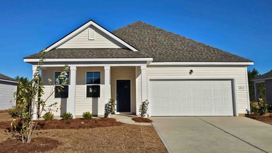 New construction Single-Family house 181 Ashworth Dr, Tabor City, NC 28463 plan ARIA - image