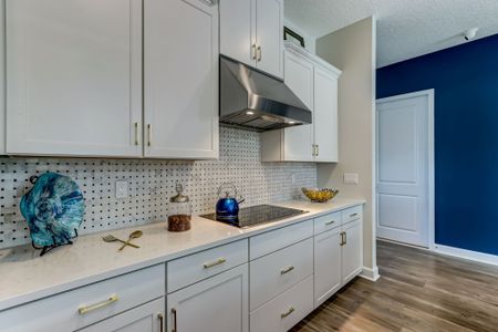 New construction Single-Family house 85113 Sandy Ridge Lp, Yulee, FL 32097 plan Albatera - image 10