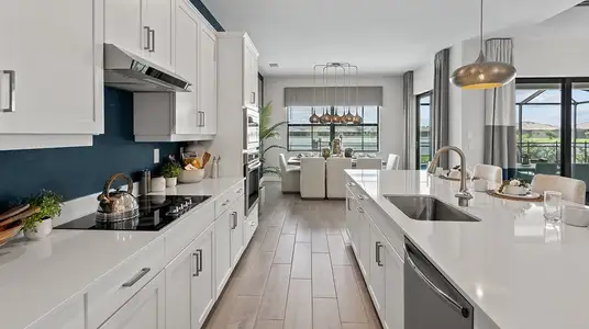 New construction Single-Family house Lakewood Ranch, FL 34211 plan Richmond - image