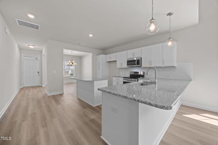 New construction Single-Family house 25 Malbec Wy, Youngsville, NC 27596 plan Rivermist - image 3