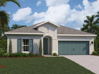 New construction Single-Family house 6173 Jensen View Ave, Apollo Beach, FL 33572 - image
