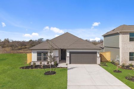 New construction Single-Family house 13504 Gray Landing Dr, Elgin, TX 78621 plan Young - image