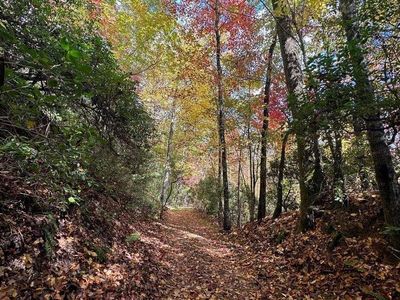 New construction Single-Family house 130 Cove View Ln, Clarkesville, GA 30523 - image 11